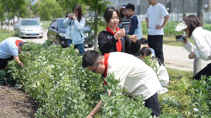微信图片_20250423143408.png